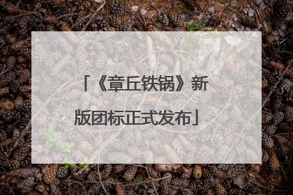 《章丘铁锅》新版团标正式发布