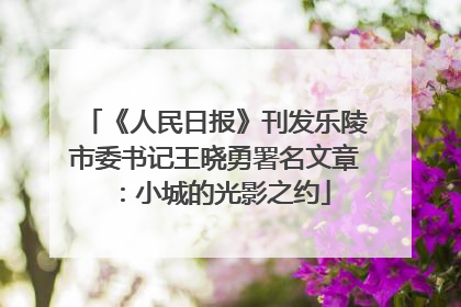 《人民日报》刊发乐陵市委书记王晓勇署名文章：小城的光影之约