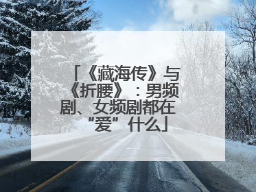 《藏海传》与《折腰》：男频剧、女频剧都在“爱”什么