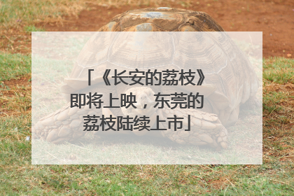 《长安的荔枝》即将上映，东莞的荔枝陆续上市