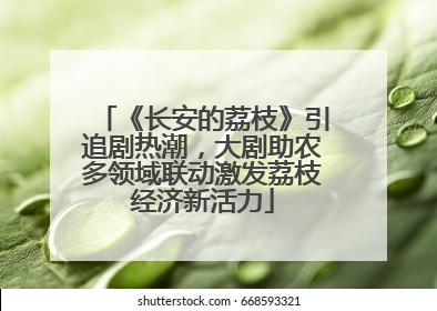 《长安的荔枝》引追剧热潮，大剧助农多领域联动激发荔枝经济新活力