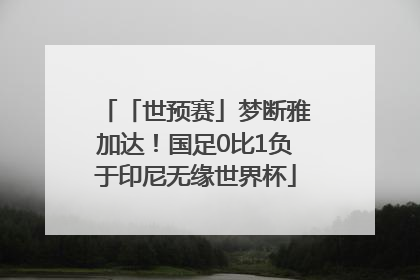 「世预赛」梦断雅加达！国足0比1负于印尼无缘世界杯