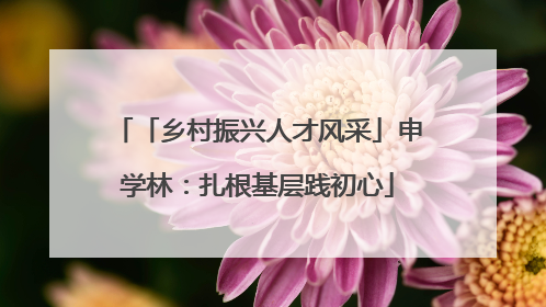 「乡村振兴人才风采」申学林：扎根基层践初心