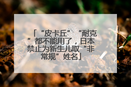 “皮卡丘”“耐克”都不能用了，日本禁止为新生儿取“非常规”姓名