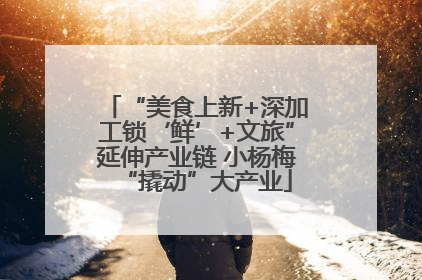 “美食上新+深加工锁‘鲜’+文旅”延伸产业链 小杨梅“撬动”大产业