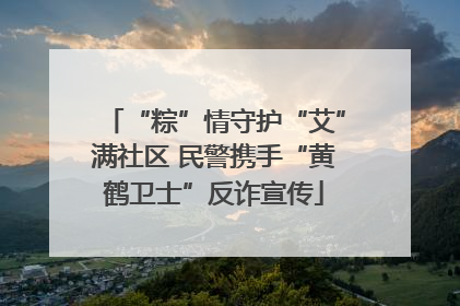 “粽”情守护“艾”满社区 民警携手“黄鹤卫士”反诈宣传