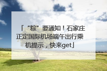 “粽”要通知！石家庄正定国际机场端午出行乘机提示，快来get