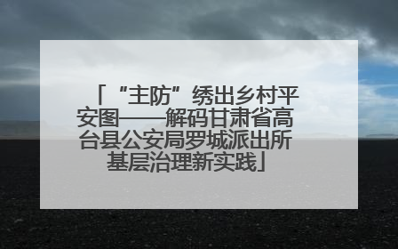 “主防”绣出乡村平安图——解码甘肃省高台县公安局罗城派出所基层治理新实践