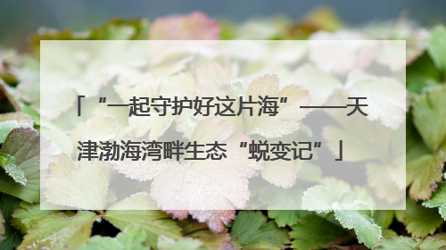 “一起守护好这片海”——天津渤海湾畔生态“蜕变记”