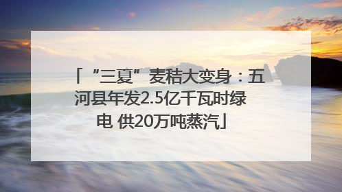 “三夏”麦秸大变身：五河县年发2.5亿千瓦时绿电 供20万吨蒸汽