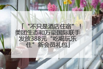 “不只是酒店住宿”！美团生态和万豪国际联手发放388元“吃喝玩乐住”新会员礼包