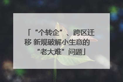 “个转企”、跨区迁移 新规破解小生意的“老大难”问题