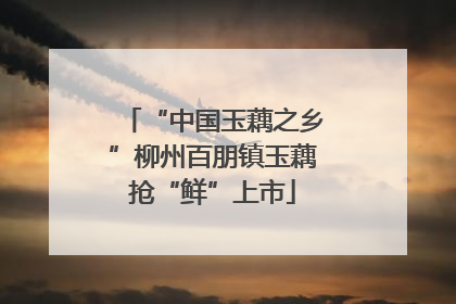 “中国玉藕之乡”柳州百朋镇玉藕抢“鲜”上市