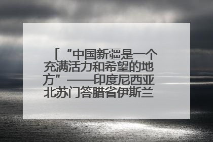 “中国新疆是一个充满活力和希望的地方”——印度尼西亚北苏门答腊省伊斯兰教代表团参访新疆