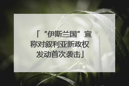 “伊斯兰国”宣称对叙利亚新政权发动首次袭击