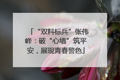 “双料标兵”张伟峰：破“心墙”筑平安，展现青春警色