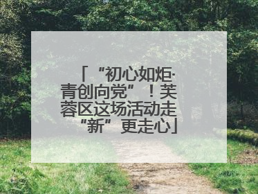 “初心如炬·青创向党”！芙蓉区这场活动走“新”更走心