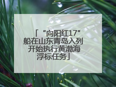“向阳红17”船在山东青岛入列 开始执行黄渤海浮标任务