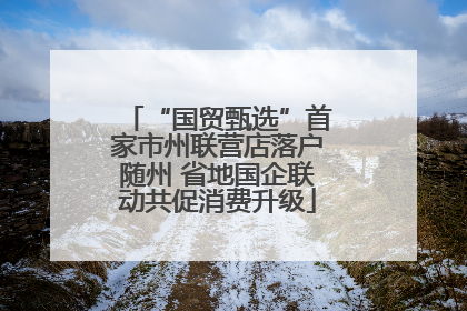 “国贸甄选”首家市州联营店落户随州 省地国企联动共促消费升级
