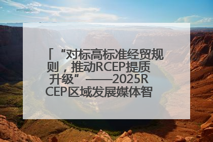 “对标高标准经贸规则，推动RCEP提质升级”——2025RCEP区域发展媒体智库论坛举行专题对话