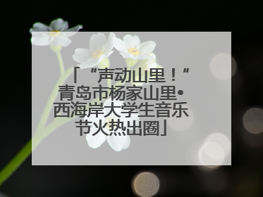 “声动山里！”青岛市杨家山里•西海岸大学生音乐节火热出圈