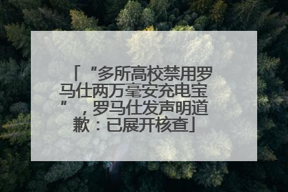 “多所高校禁用罗马仕两万毫安充电宝”，罗马仕发声明道歉：已展开核查