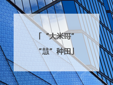 “大米哥”“慧”种田