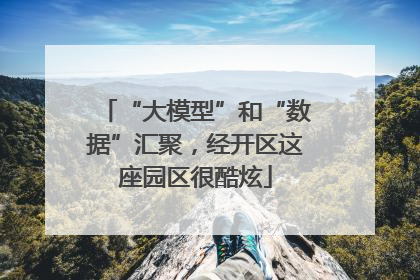“大模型”和“数据”汇聚，经开区这座园区很酷炫
