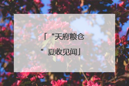 “天府粮仓”夏收见闻