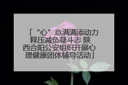 “心”意满满添动力 释压减负凝斗志 陕西合阳公安组织开展心理健康团体辅导活动