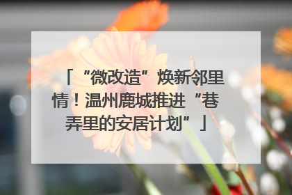 “微改造”焕新邻里情！温州鹿城推进“巷弄里的安居计划”