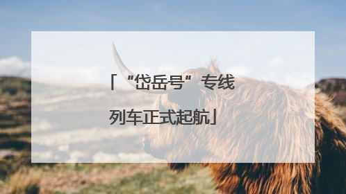 “岱岳号”专线列车正式起航