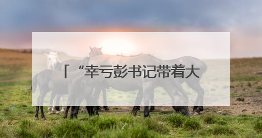“幸亏彭书记带着大家及时赶到！”宁乡黄材镇崔坪村驻村工作队救助中暑村民
