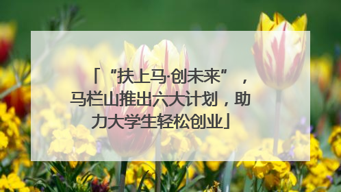 “扶上马·创未来”，马栏山推出六大计划，助力大学生轻松创业