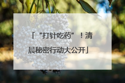 “打针吃药”！清晨秘密行动大公开
