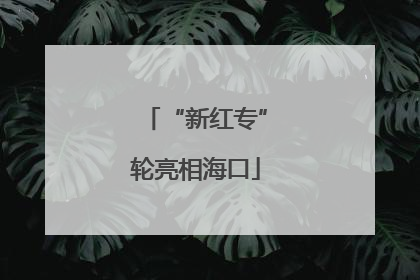 “新红专”轮亮相海口