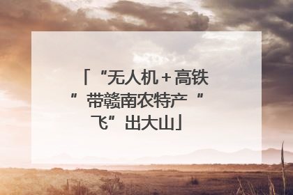 “无人机＋高铁”带赣南农特产“飞”出大山