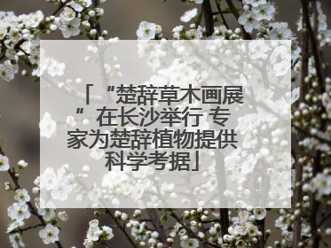 “楚辞草木画展”在长沙举行 专家为楚辞植物提供科学考据
