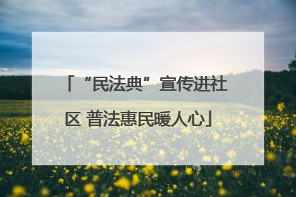 “民法典”宣传进社区 普法惠民暖人心