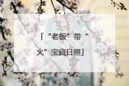 “老板”带“火”宝藏日照