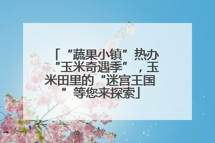 “蔬果小镇”热办“玉米奇遇季”，玉米田里的“迷宫王国”等您来探索