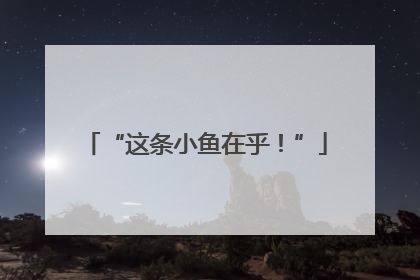 “这条小鱼在乎！”