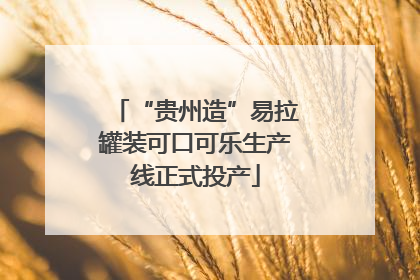 “贵州造”易拉罐装可口可乐生产线正式投产