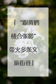 “跟黄鹤楼合张影”带火多条文旅街巷