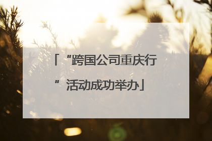 “跨国公司重庆行”活动成功举办