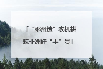 “郴州造”农机耕耘非洲好“丰”景