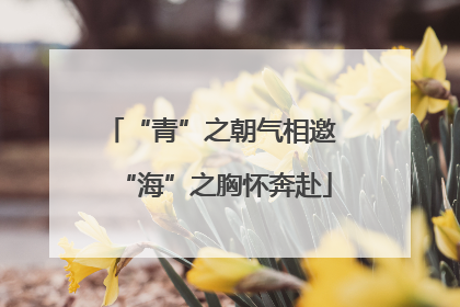 “青”之朝气相邀 “海”之胸怀奔赴