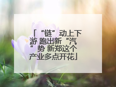 “链”动上下游 跑出新“汽”势 新郑这个产业多点开花