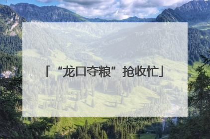 “龙口夺粮”抢收忙