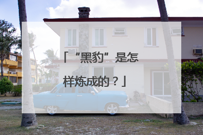 “黑豹”是怎样炼成的？